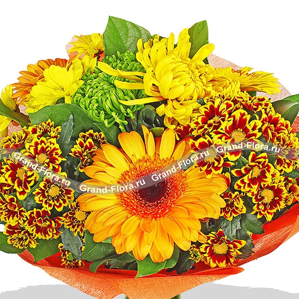 Торжество экспрессии - букет из разноцветных хризантем и гербер